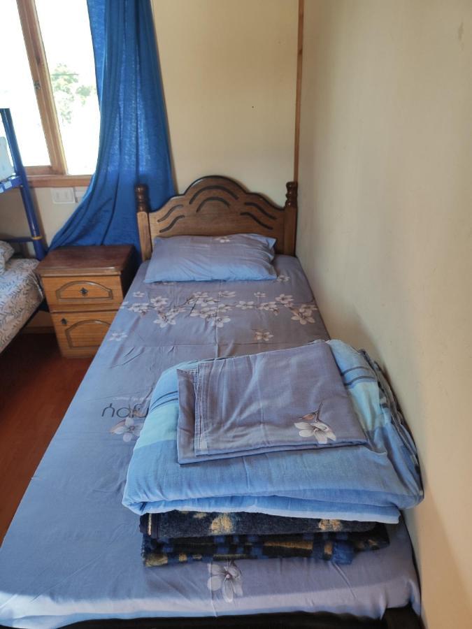 Alma Patagona Hostel Puerto Tranquilo Dış mekan fotoğraf