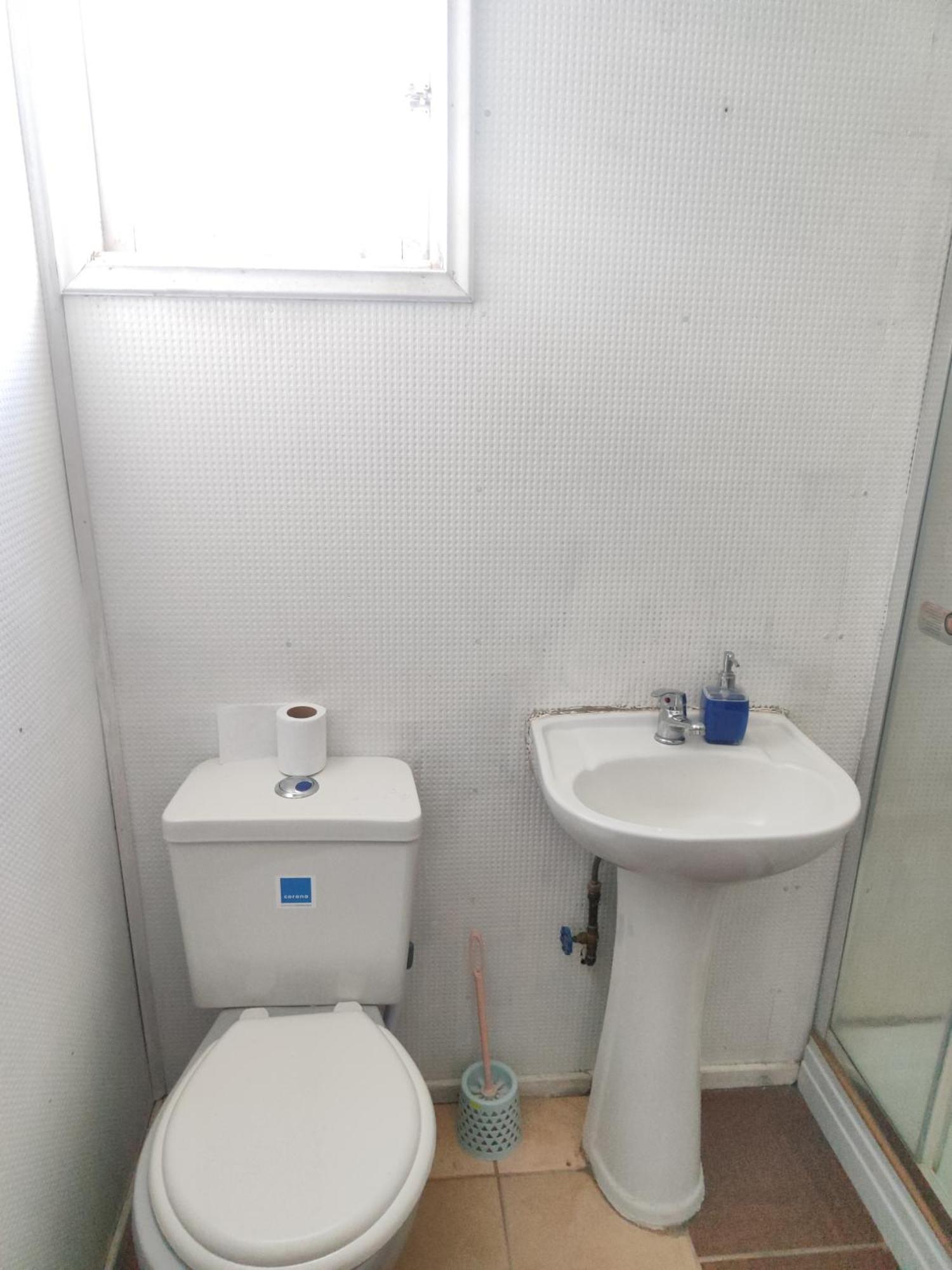 Alma Patagona Hostel Puerto Tranquilo Dış mekan fotoğraf